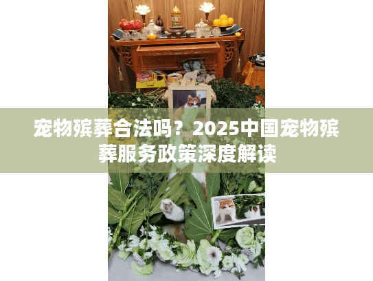 宠物殡葬合法吗？2025中国宠物殡葬服务政策深度解读