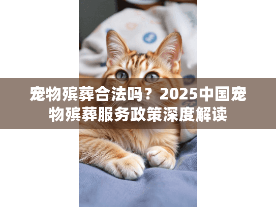 宠物殡葬合法吗？2025中国宠物殡葬服务政策深度解读
