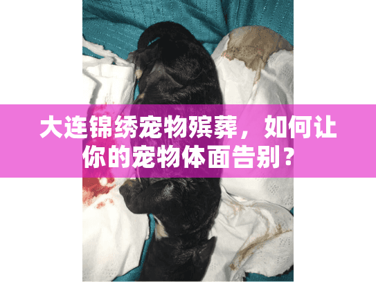 大连锦绣宠物殡葬，如何让你的宠物体面告别？