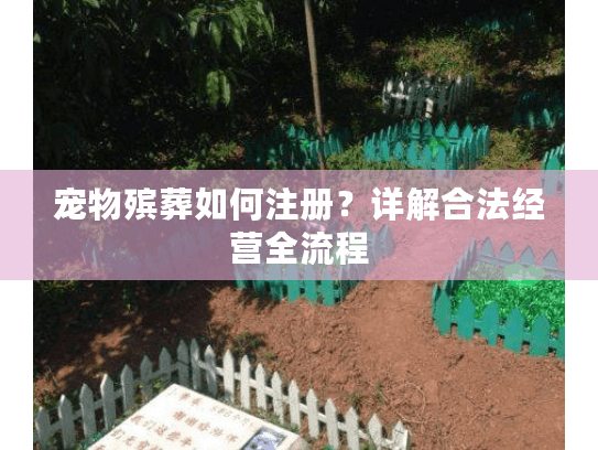 宠物殡葬如何注册？详解合法经营全流程