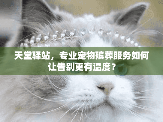 天堂驿站，专业宠物殡葬服务如何让告别更有温度？