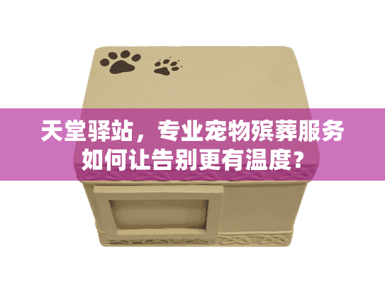 天堂驿站，专业宠物殡葬服务如何让告别更有温度？