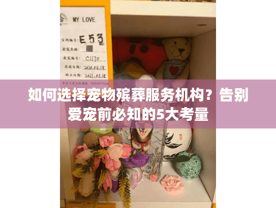 如何选择宠物殡葬服务机构？告别爱宠前必知的5大考量