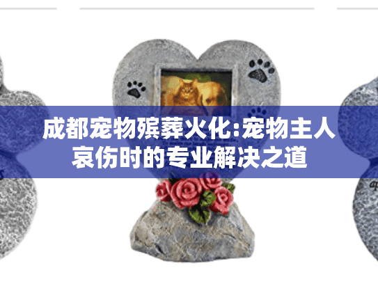 成都宠物殡葬火化:宠物主人哀伤时的专业解决之道