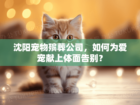 沈阳宠物殡葬公司，如何为爱宠献上体面告别？