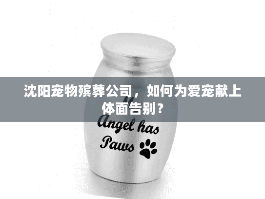 沈阳宠物殡葬公司，如何为爱宠献上体面告别？