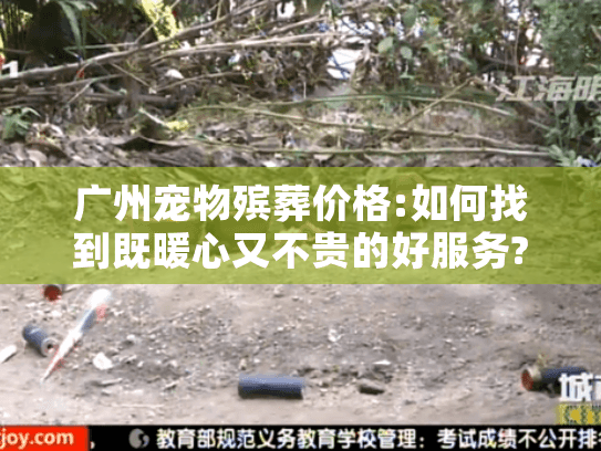 广州宠物殡葬价格:如何找到既暖心又不贵的好服务?