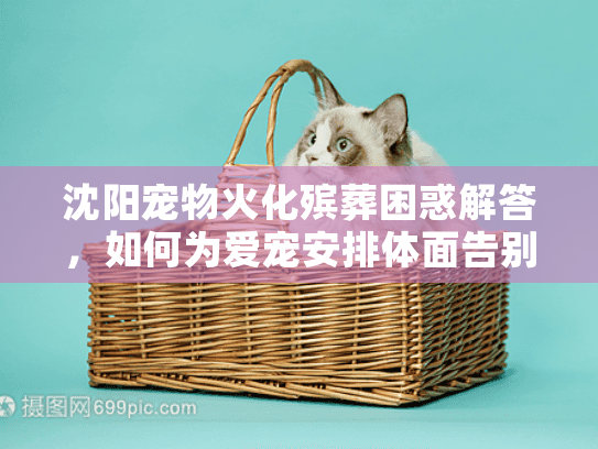 沈阳宠物火化殡葬困惑解答，如何为爱宠安排体面告别服务
