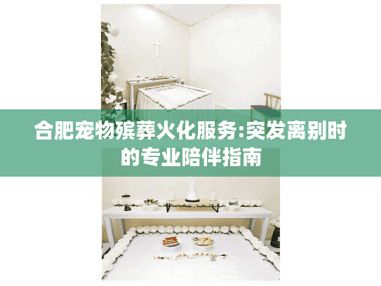 合肥宠物殡葬火化服务:突发离别时的专业陪伴指南