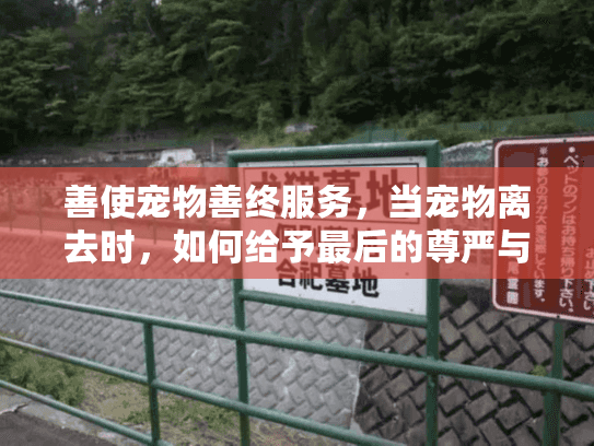 善使宠物善终服务，当宠物离去时，如何给予最后的尊严与安慰？