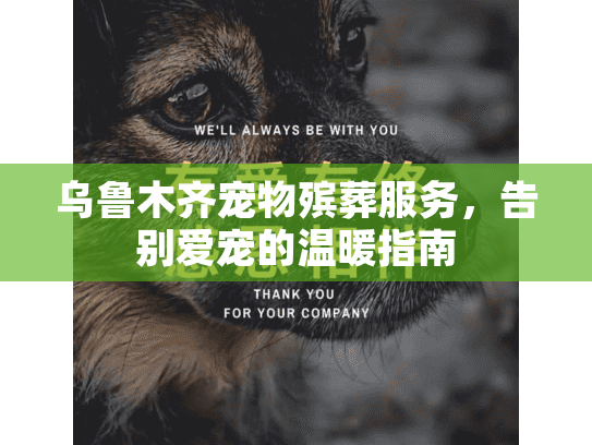 乌鲁木齐宠物殡葬服务，告别爱宠的温暖指南