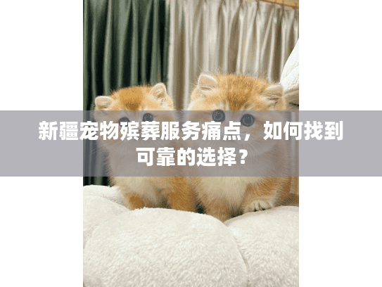 新疆宠物殡葬服务痛点，如何找到可靠的选择？