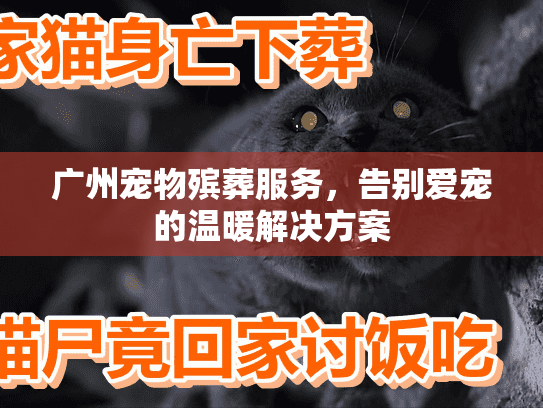 广州宠物殡葬服务，告别爱宠的温暖解决方案