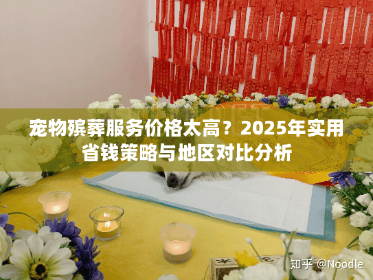 宠物殡葬服务价格太高？2025年实用省钱策略与地区对比分析