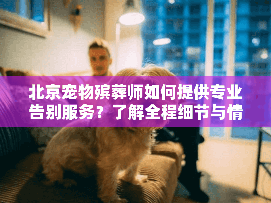 北京宠物殡葬师如何提供专业告别服务？了解全程细节与情感关怀