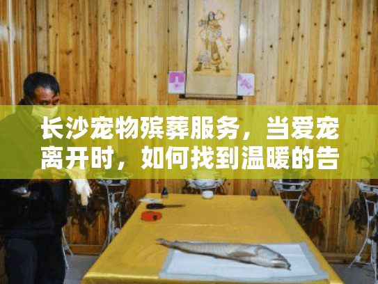 长沙宠物殡葬服务，当爱宠离开时，如何找到温暖的告别方案？