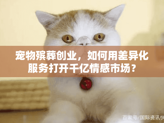 宠物殡葬创业，如何用差异化服务打开千亿情感市场？