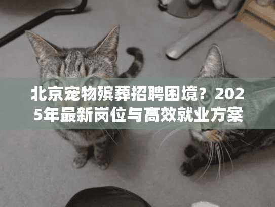 北京宠物殡葬招聘困境？2025年最新岗位与高效就业方案
