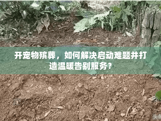 开宠物殡葬，如何解决启动难题并打造温暖告别服务？