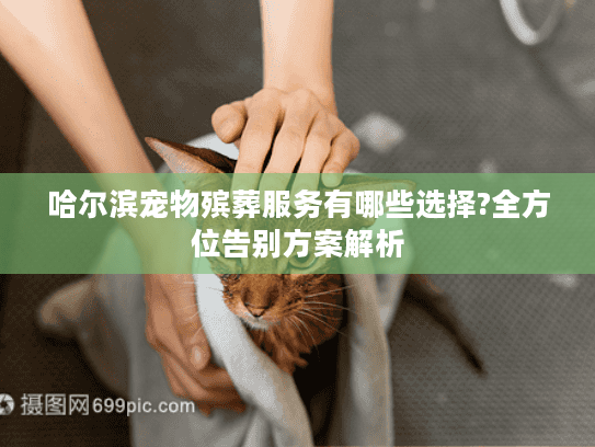 哈尔滨宠物殡葬服务有哪些选择?全方位告别方案解析