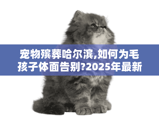 宠物殡葬哈尔滨,如何为毛孩子体面告别?2025年最新避坑指南