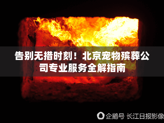告别无措时刻！北京宠物殡葬公司专业服务全解指南