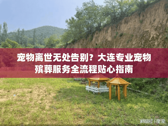 宠物离世无处告别？大连专业宠物殡葬服务全流程贴心指南