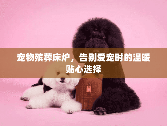 宠物殡葬床炉，告别爱宠时的温暖贴心选择