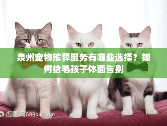 泉州宠物殡葬服务有哪些选择？如何给毛孩子体面告别