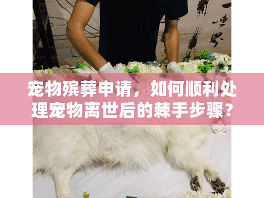 宠物殡葬申请，如何顺利处理宠物离世后的棘手步骤？