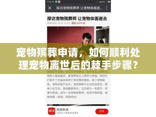 宠物殡葬申请，如何顺利处理宠物离世后的棘手步骤？