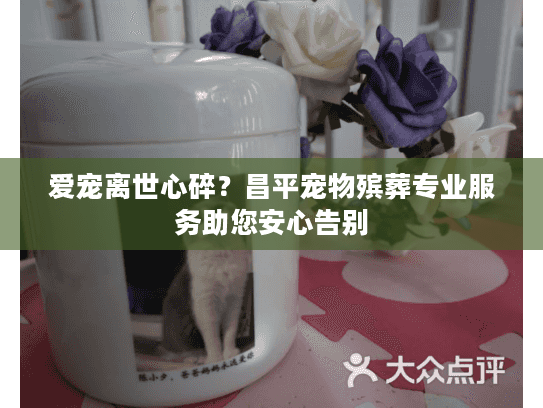爱宠离世心碎？昌平宠物殡葬专业服务助您安心告别