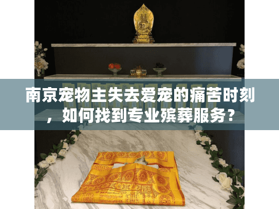 南京宠物主失去爱宠的痛苦时刻，如何找到专业殡葬服务？