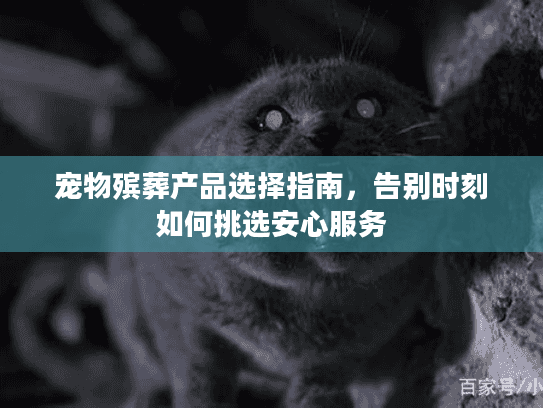 宠物殡葬产品选择指南，告别时刻如何挑选安心服务