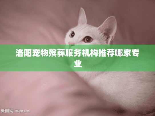 洛阳宠物殡葬服务机构推荐哪家专业