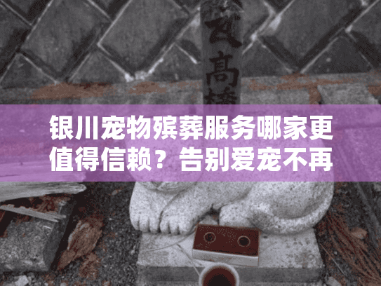 银川宠物殡葬服务哪家更值得信赖？告别爱宠不再迷茫