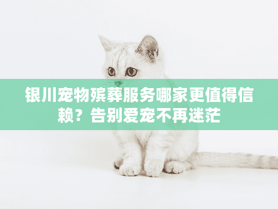银川宠物殡葬服务哪家更值得信赖？告别爱宠不再迷茫