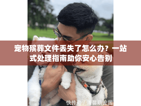 宠物殡葬文件丢失了怎么办？一站式处理指南助你安心告别