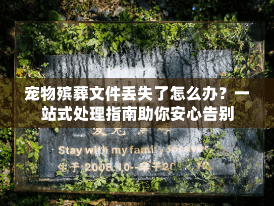 宠物殡葬文件丢失了怎么办？一站式处理指南助你安心告别
