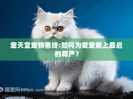 宠天堂宠物善终:如何为爱宠献上最后的尊严？