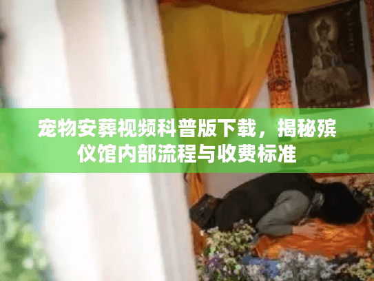 宠物安葬视频科普版下载，揭秘殡仪馆内部流程与收费标准