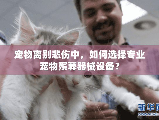 宠物离别悲伤中，如何选择专业宠物殡葬器械设备？