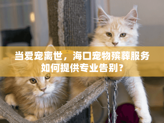 当爱宠离世，海口宠物殡葬服务如何提供专业告别？