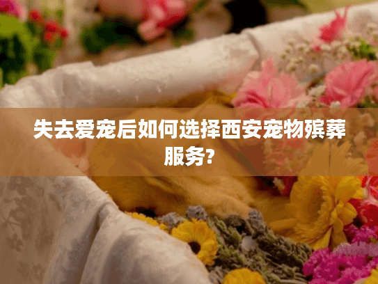 失去爱宠后如何选择西安宠物殡葬服务?