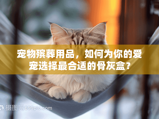宠物殡葬用品，如何为你的爱宠选择最合适的骨灰盒？