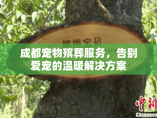 成都宠物殡葬服务，告别爱宠的温暖解决方案