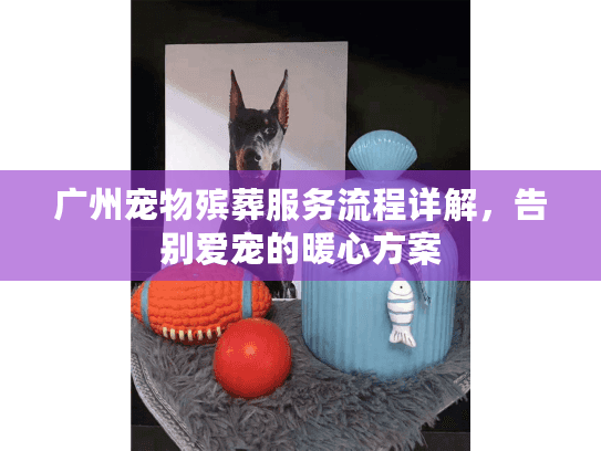 广州宠物殡葬服务流程详解，告别爱宠的暖心方案
