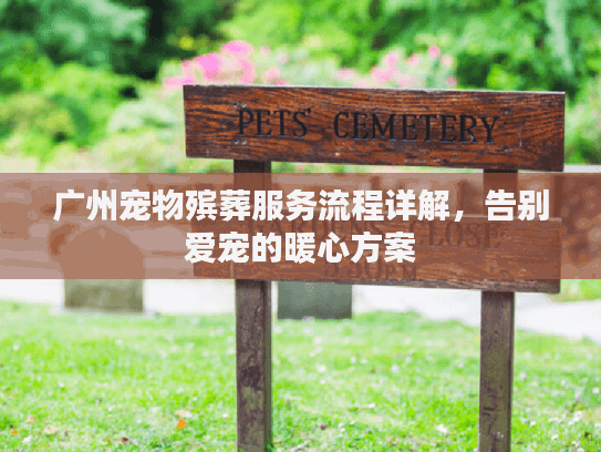广州宠物殡葬服务流程详解，告别爱宠的暖心方案