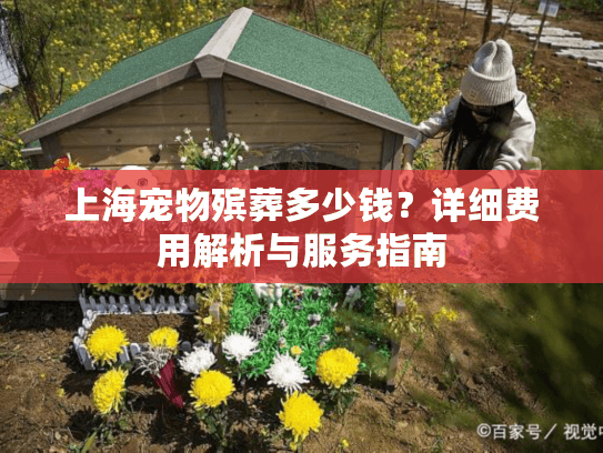 上海宠物殡葬多少钱？详细费用解析与服务指南