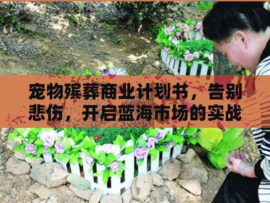 宠物殡葬商业计划书，告别悲伤，开启蓝海市场的实战指南
